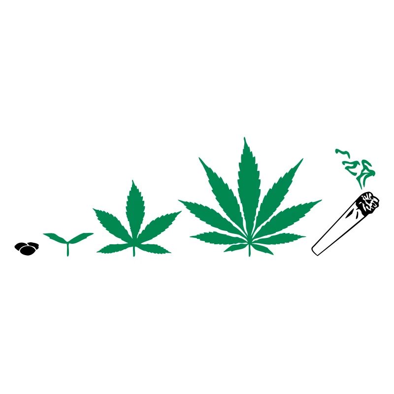 Cannabis development