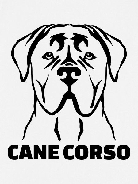 Cane Corso