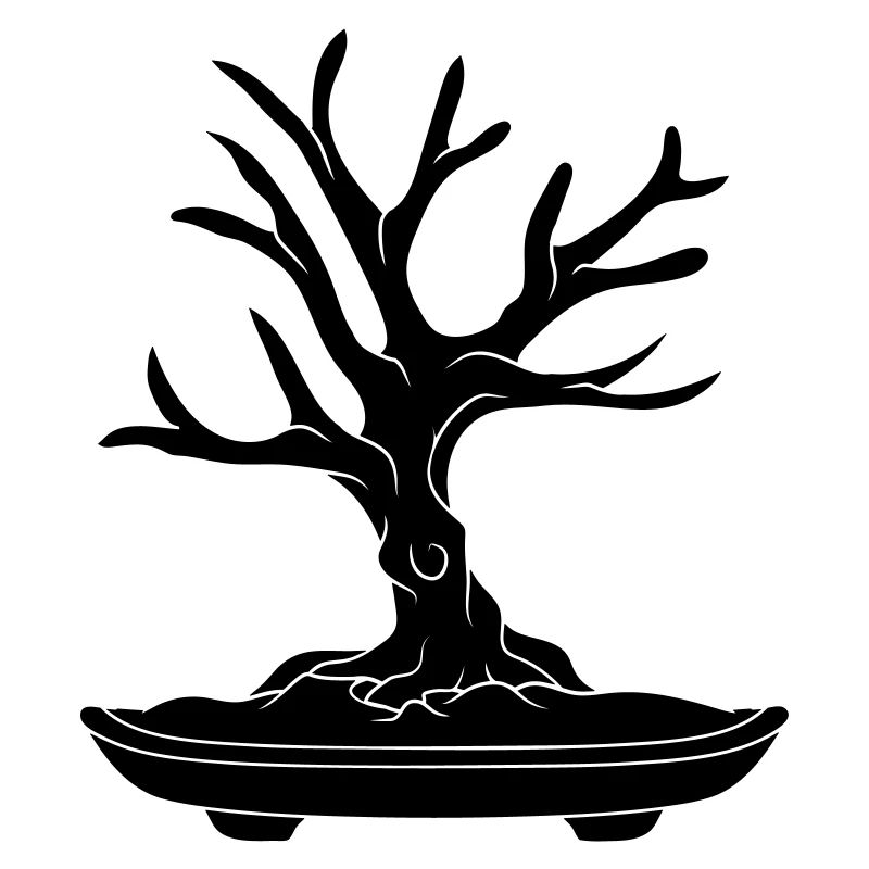black tree cool bonsai baeumchen without leaves k