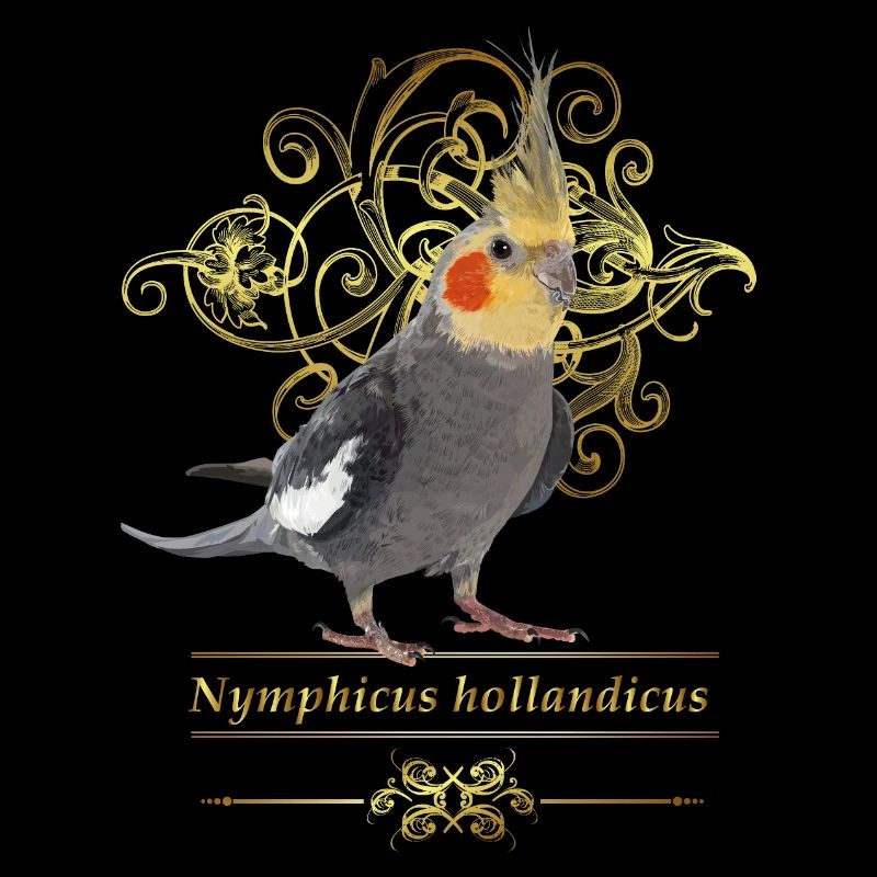Cacatoès Nympha