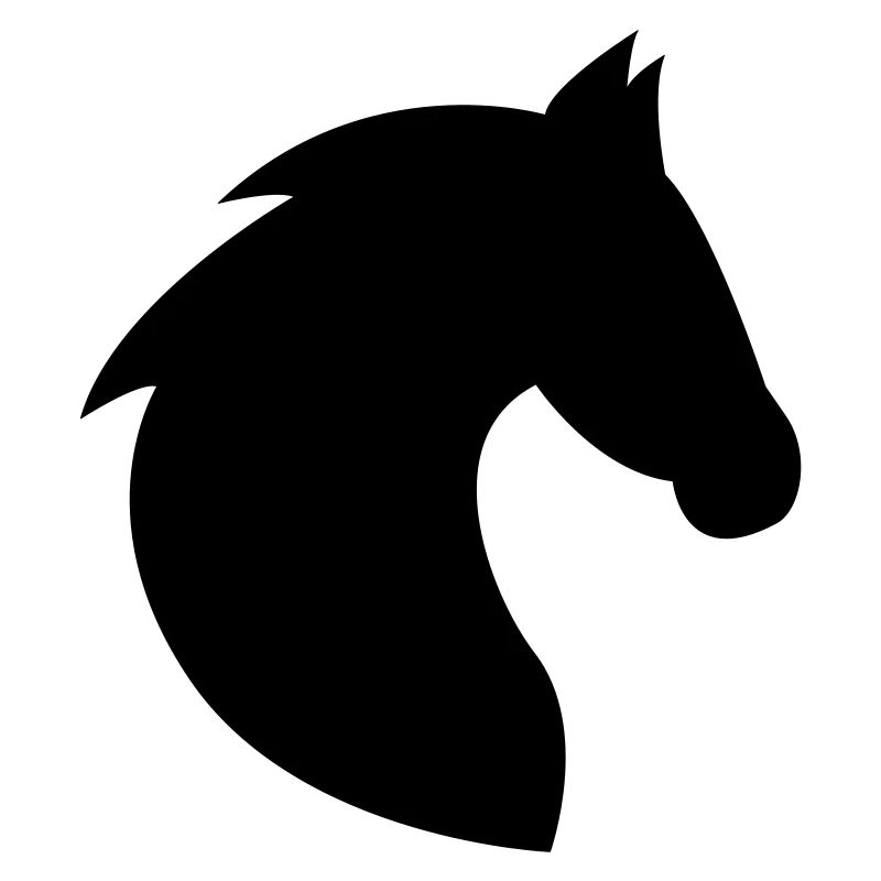 Pferd, Pferdekopf, Pferde, Reiten, Kopf