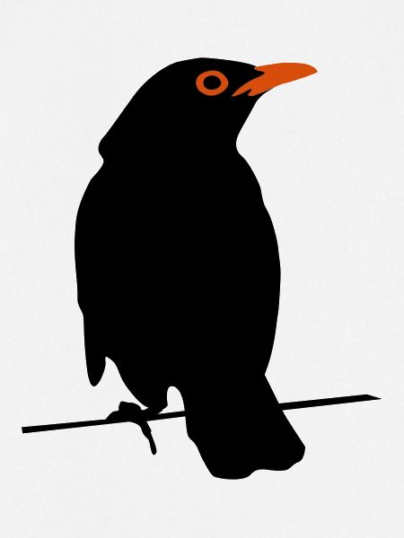 Amsel