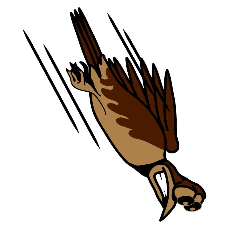 funny bird crash cool funny comic