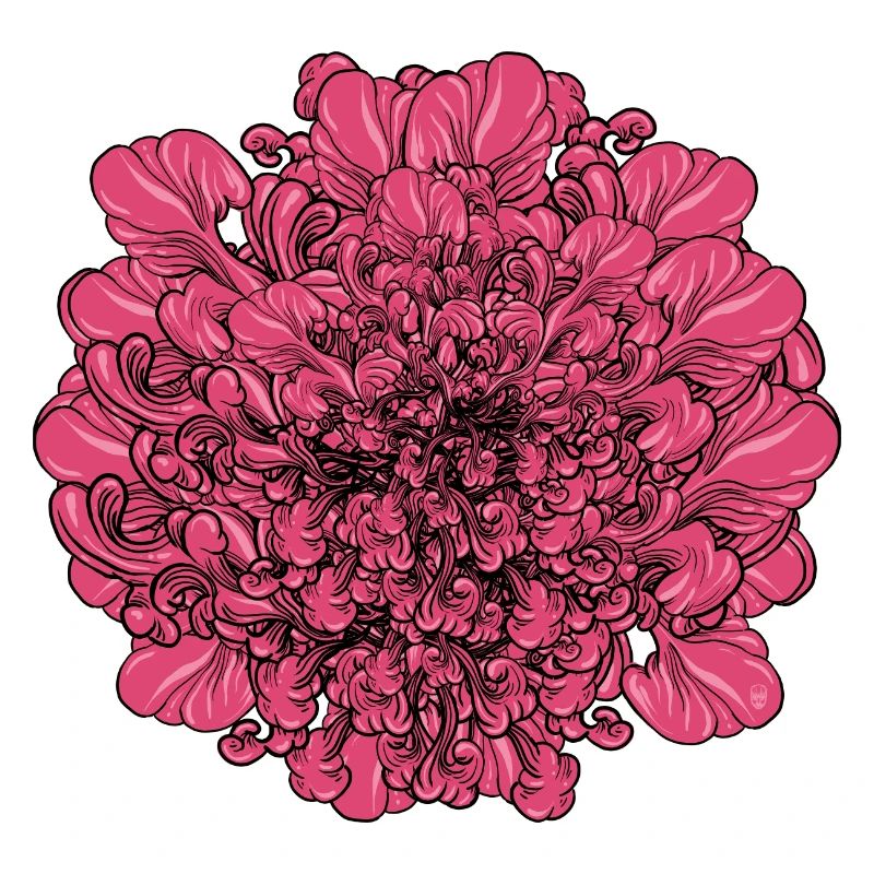 Fleur rose