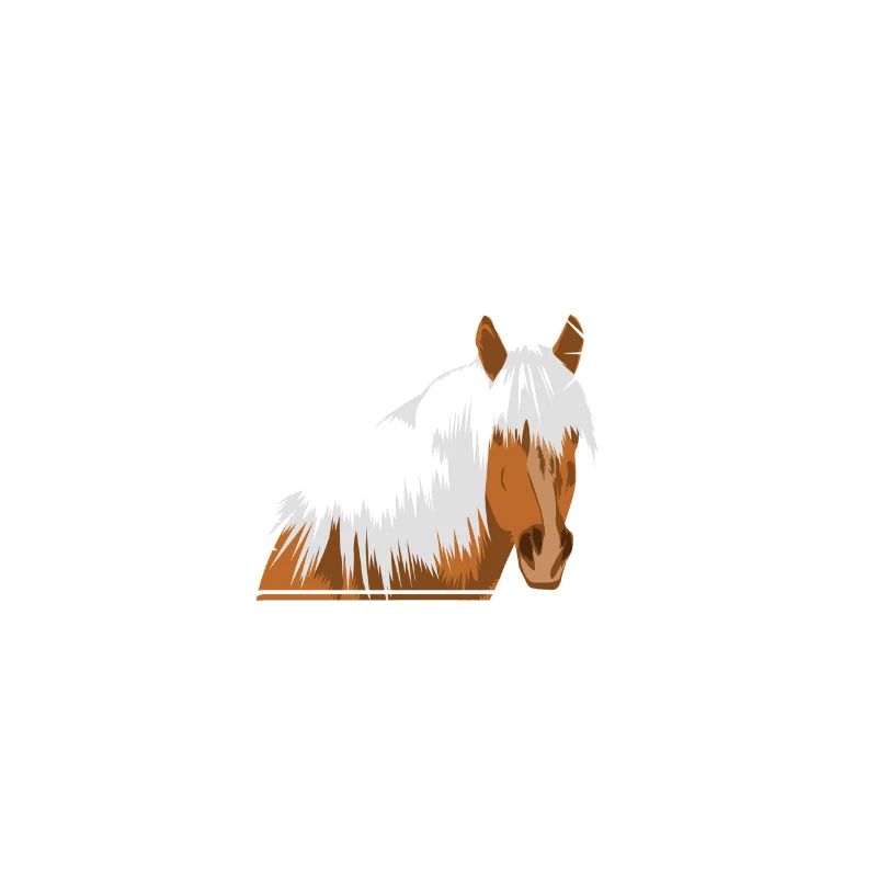 Haflinger