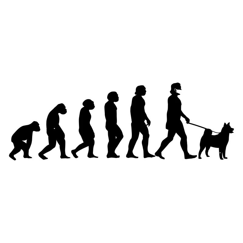 Chien d'évolution