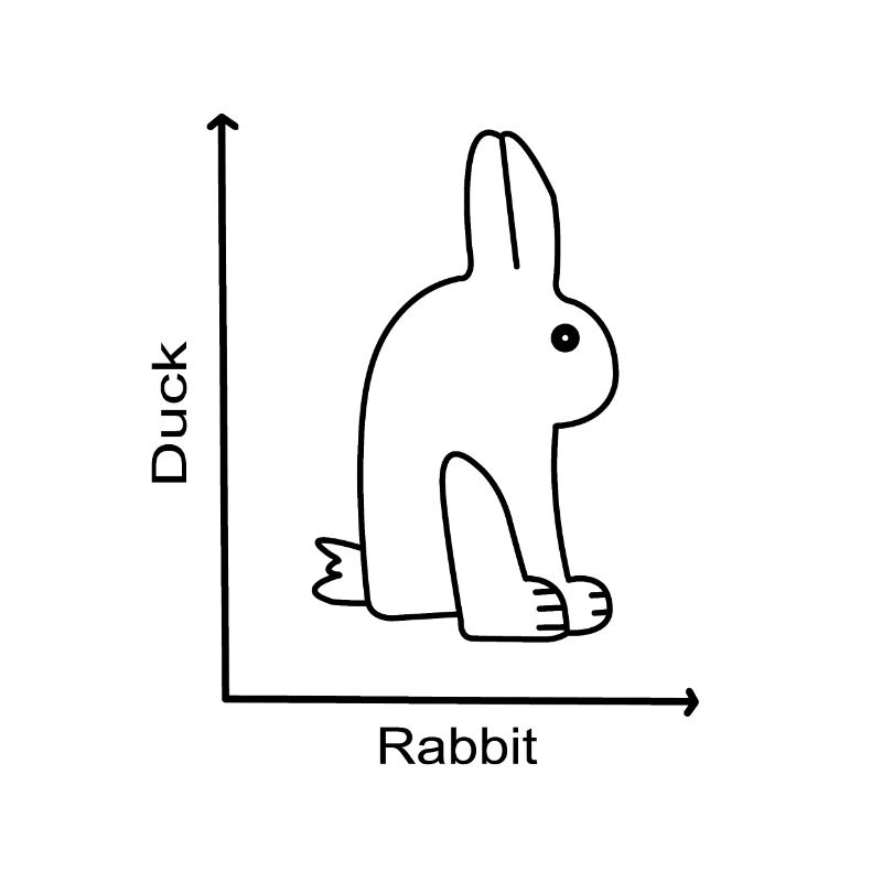LAPIN DE CANARD - Canard lapin - Leçon de graphique