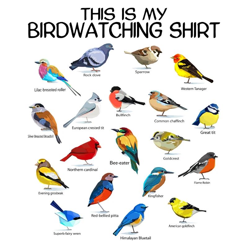 Observation des oiseaux Orinthologist Birdwatching Gift