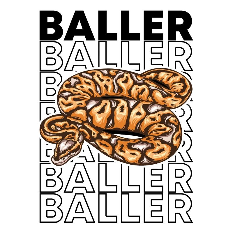 Ball Python 80's Style Baller Royal Python Snake