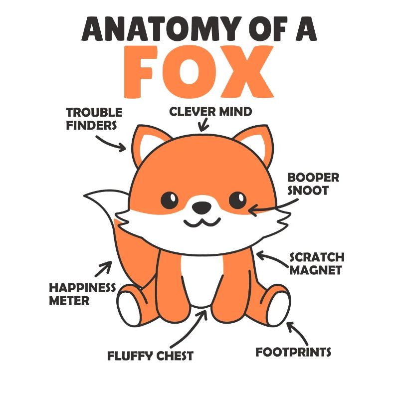 Explication du renard mignon Anatomie d’un renard