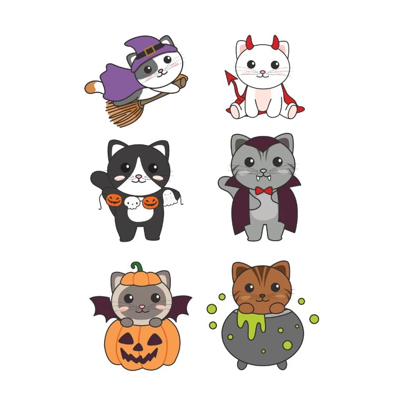 Chat Halloween Devil Pumpkin Vampire Costume