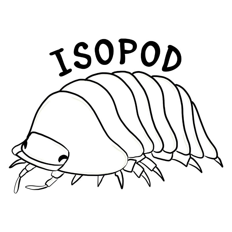 Isopode