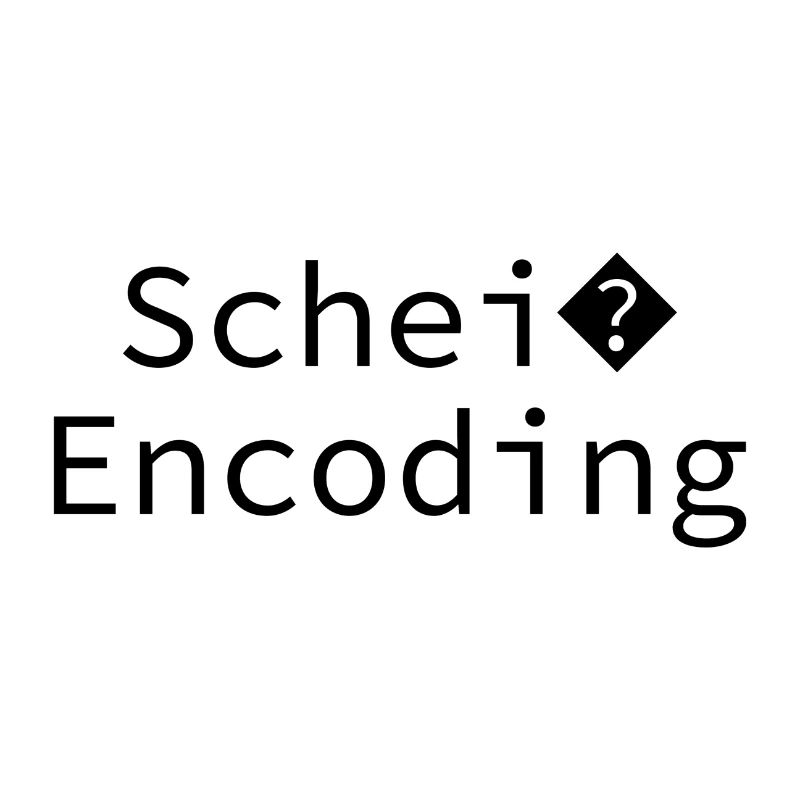 Schei encoding Programming Informatik Geschenk
