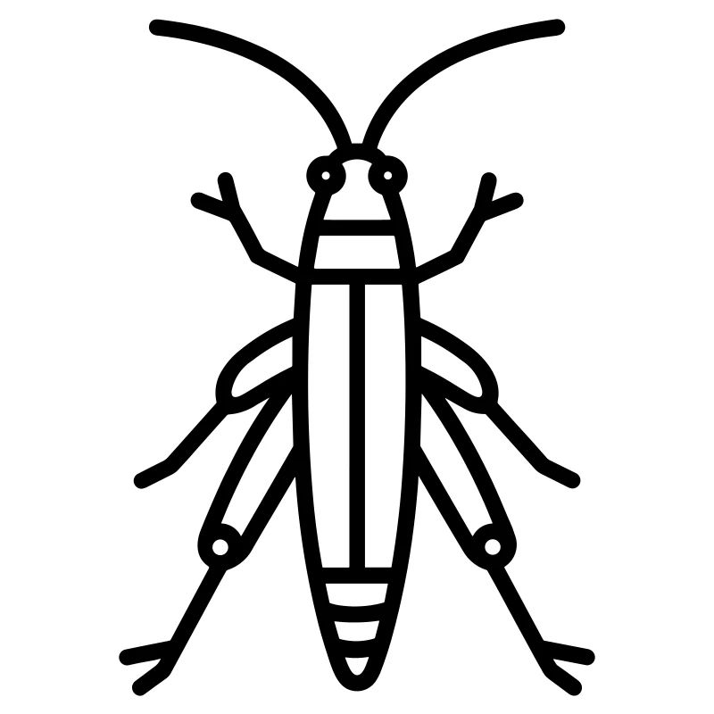 grasshopper