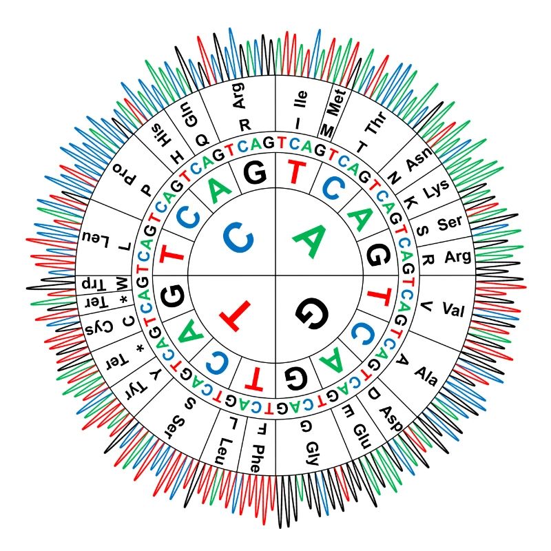 Sanger Codon Circle