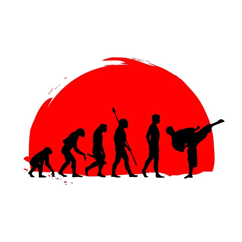 Karate evolution martial arts
