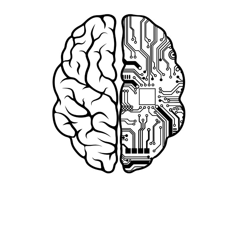 Programmer Coder - Developer Programming Brain Fun