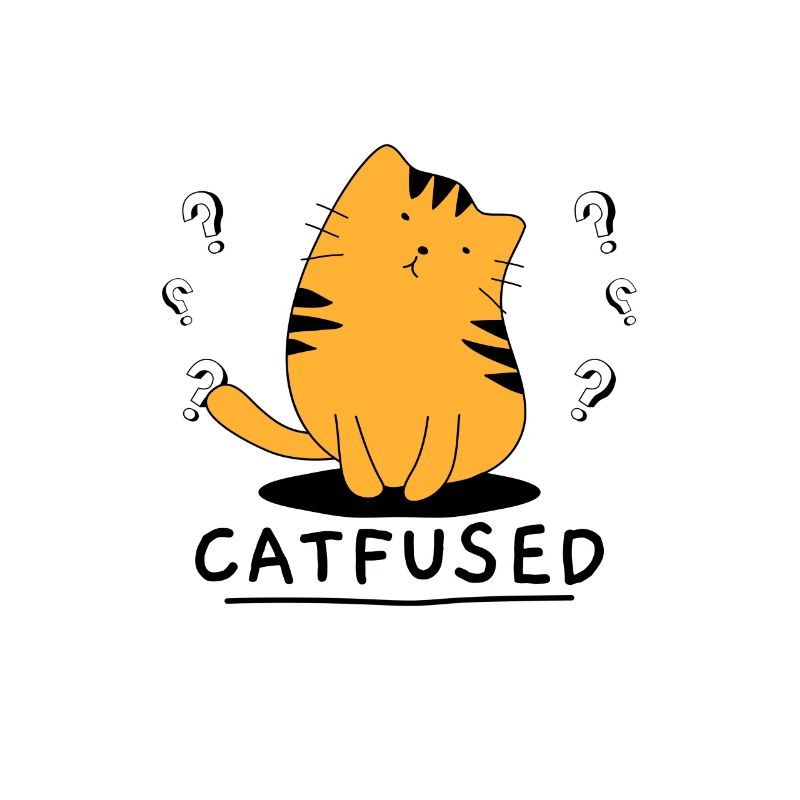 Confusion chat jeu de mots chats cadeau
