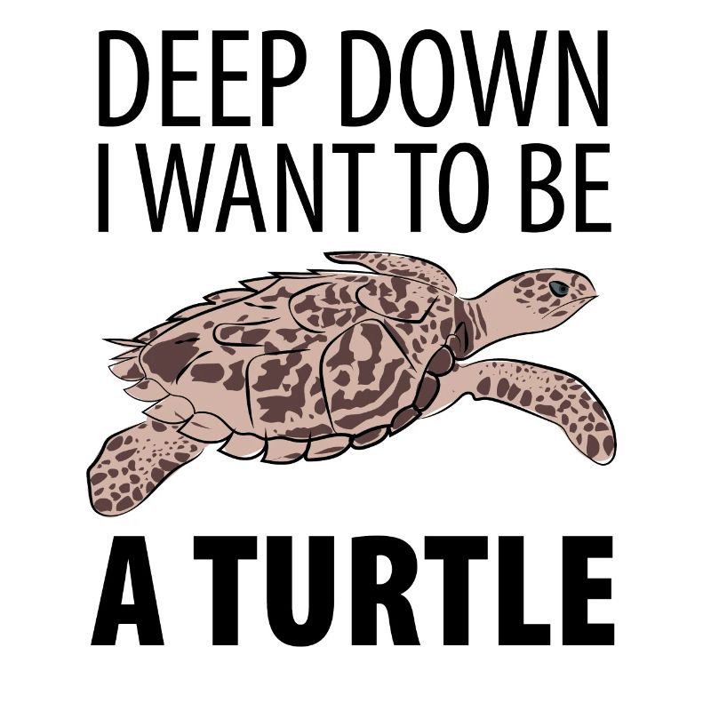Turtle turtle