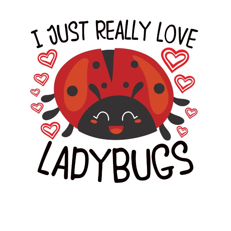 Ladybug Ladybug Entomology Insects