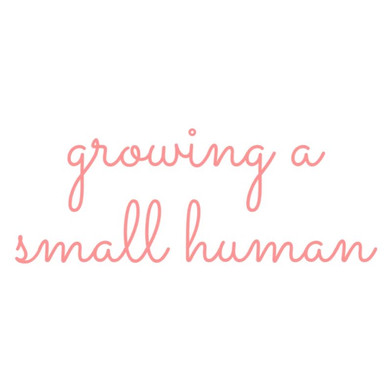 Growing a small human (pink)