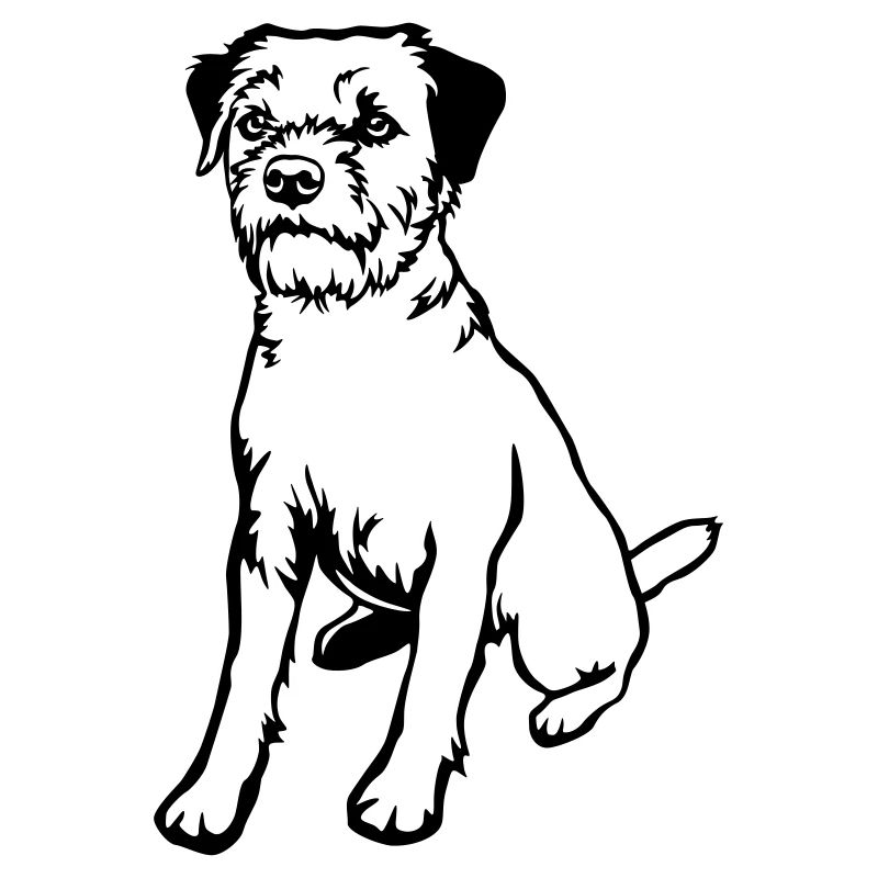 Border Terrier