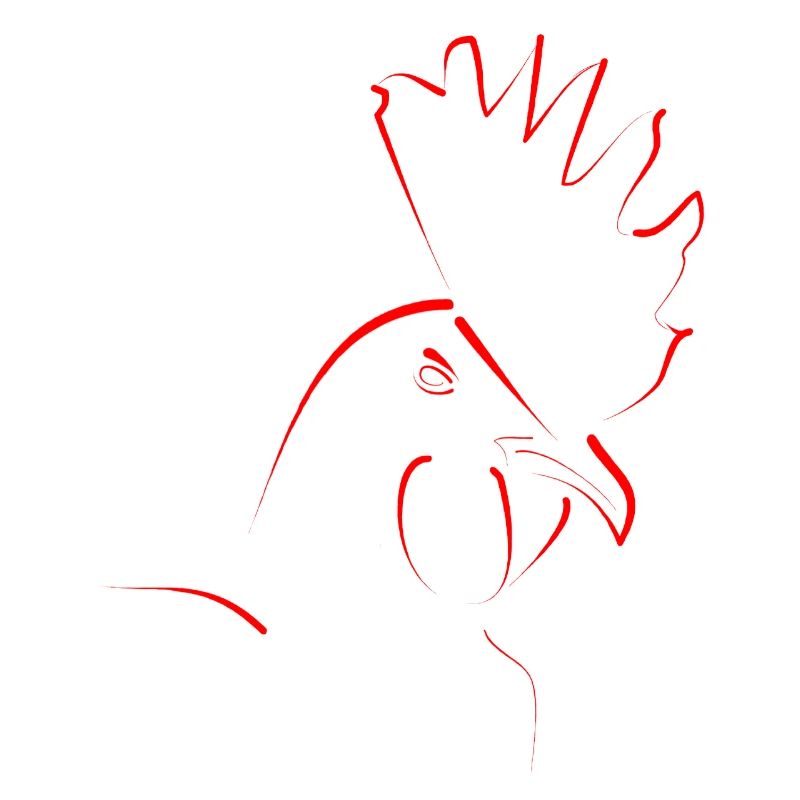 Dick