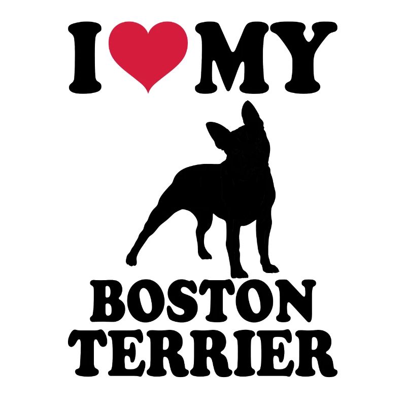 Boston Terrier