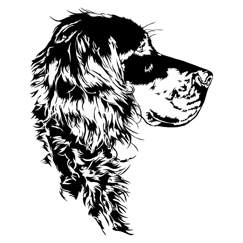 GORDON SETTER Wilsigns Jagdhund Jagdhunde Hunde