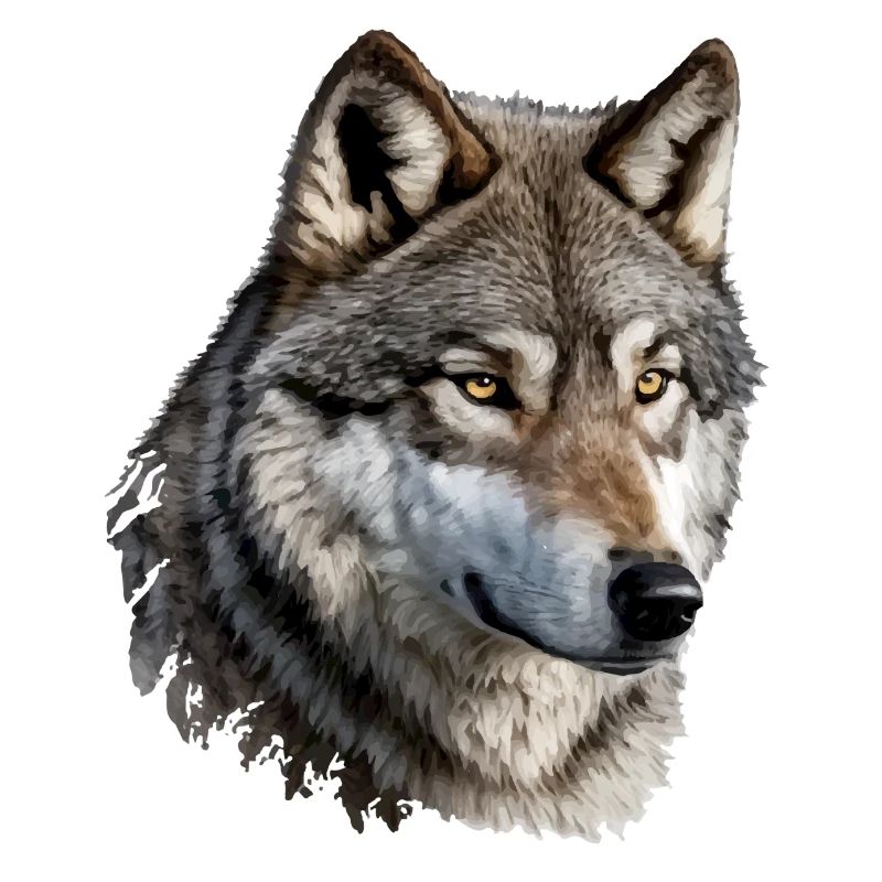 The Wolf