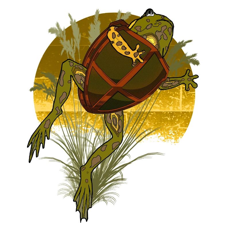 Tortoise - Toad with Shield Curiosity