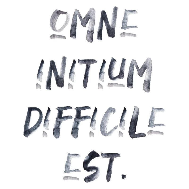 all beginning is difficult Latin quotation scripture