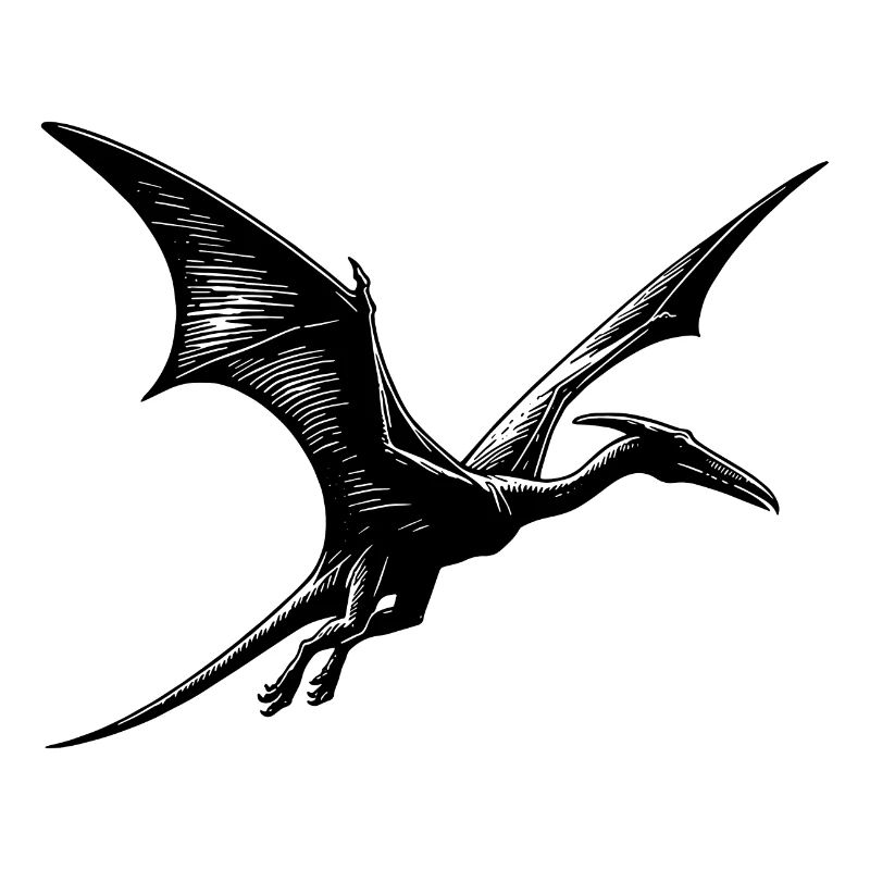 Pterosaur Dino Pteranodon Flying Dinosaur