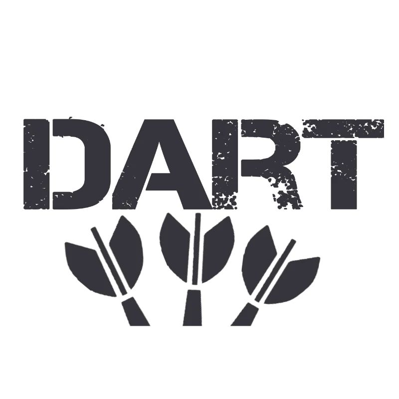 Darts darts darts player