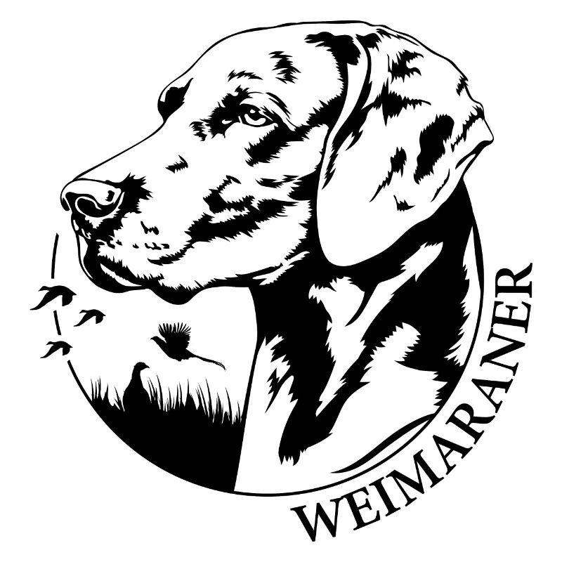 Braque de Weimar Portrait Chiens Chien Chiens De Chasse Wilsigns
