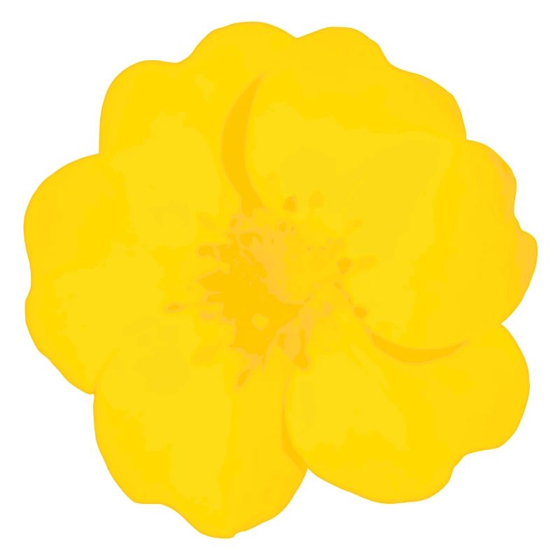 Buttercup Bold
