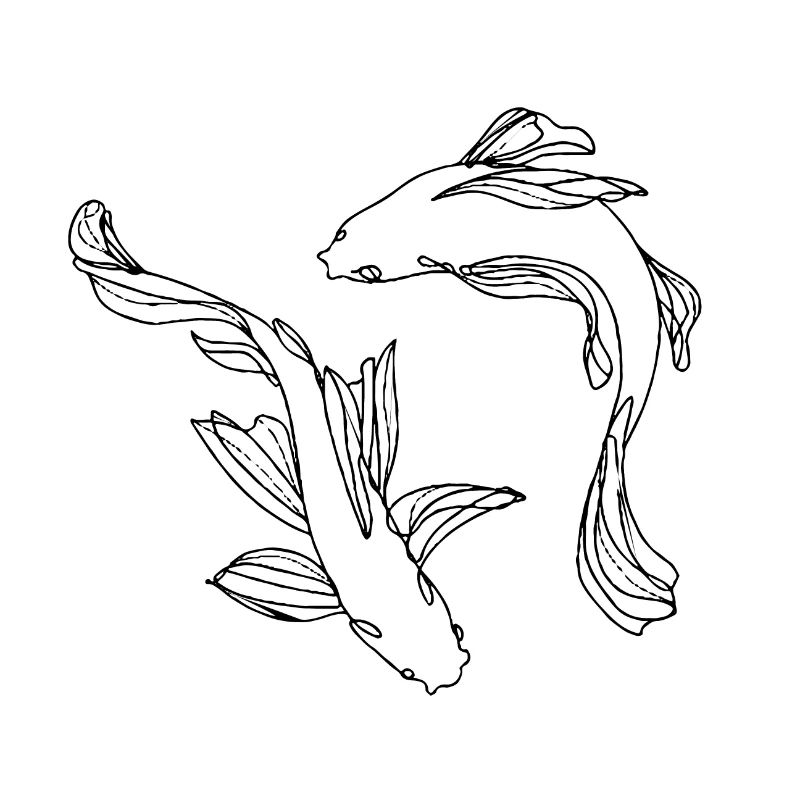 Ying Yang Fish