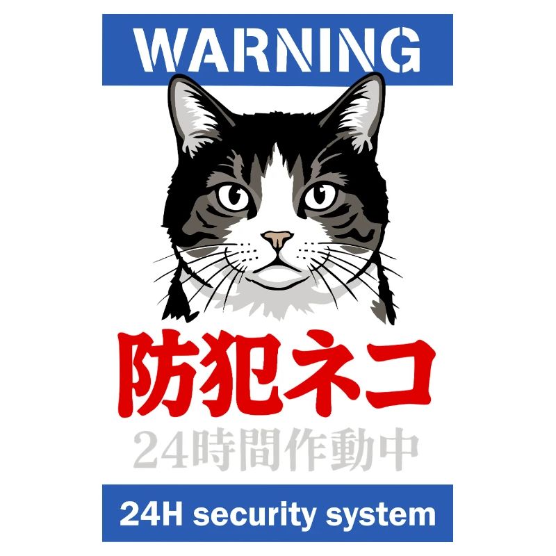 24h Security System