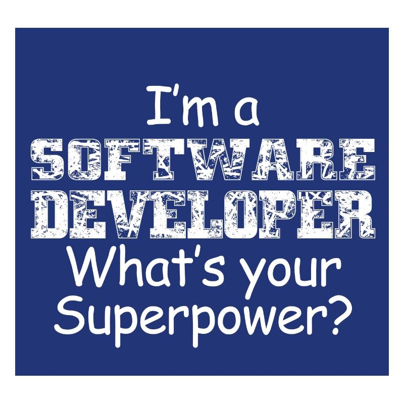 Software Developer
