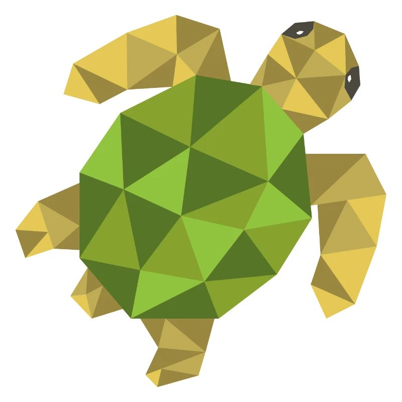 Turtle Geometric Gift Triangle Hipster