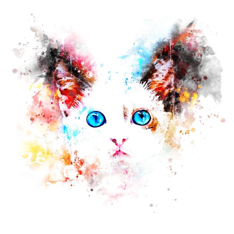 gxp chat mignon yeux bleus couleur de l'eau blobs