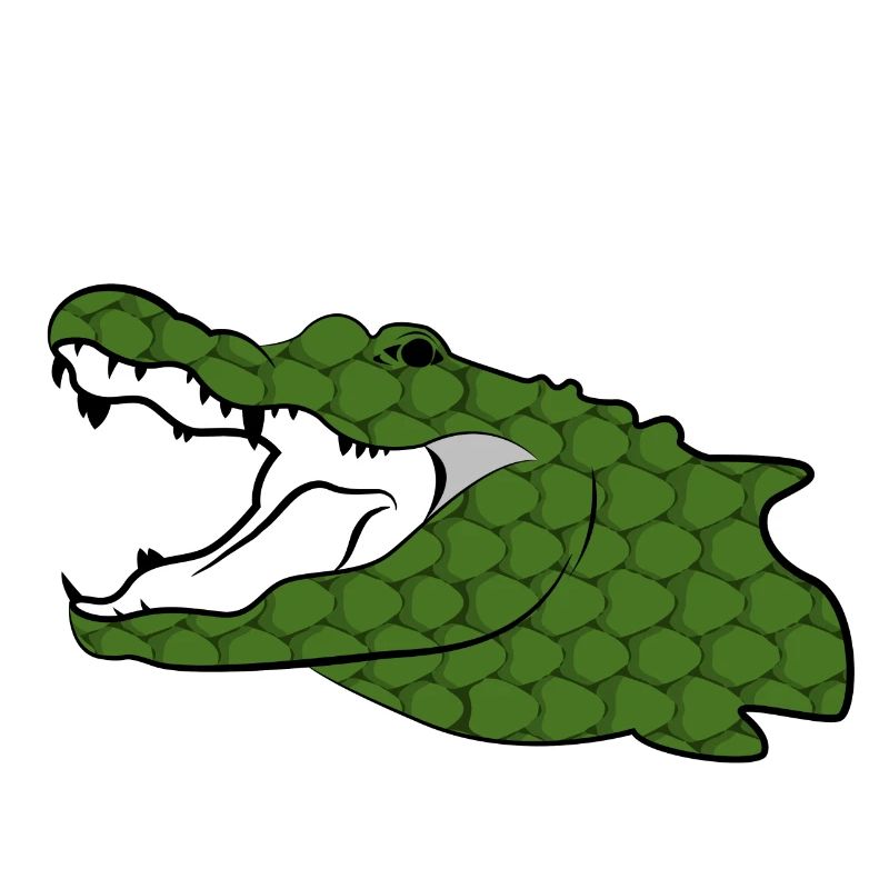 Krokodile Nilkrokodil Alligator Reptil Geschenk