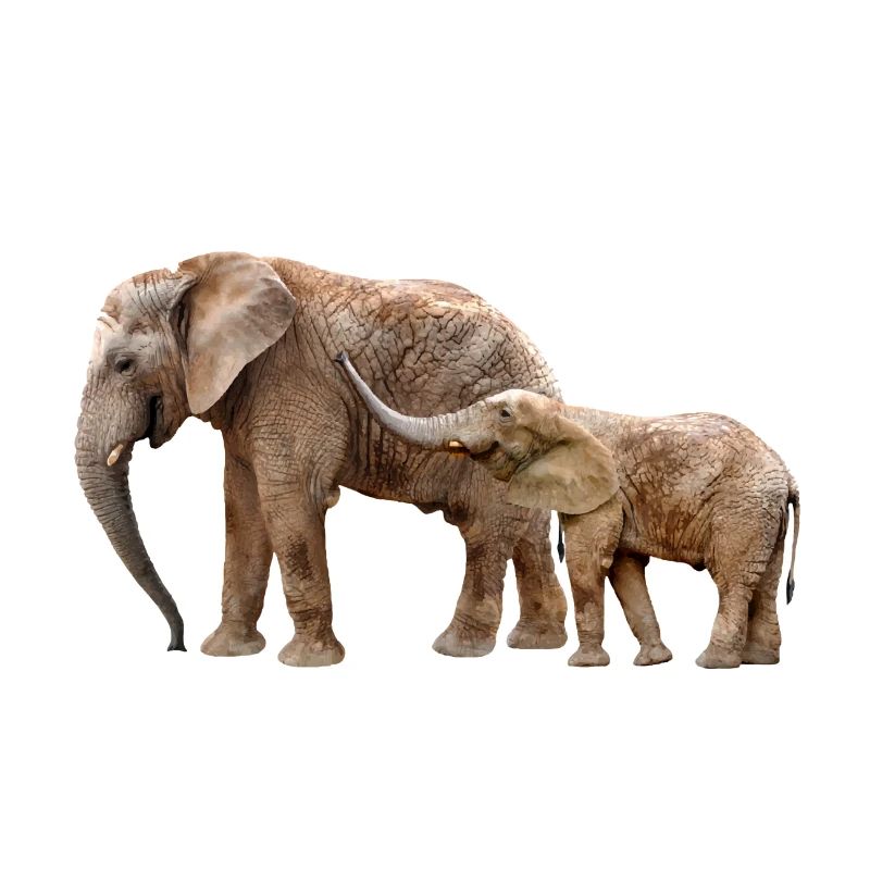 Elefant