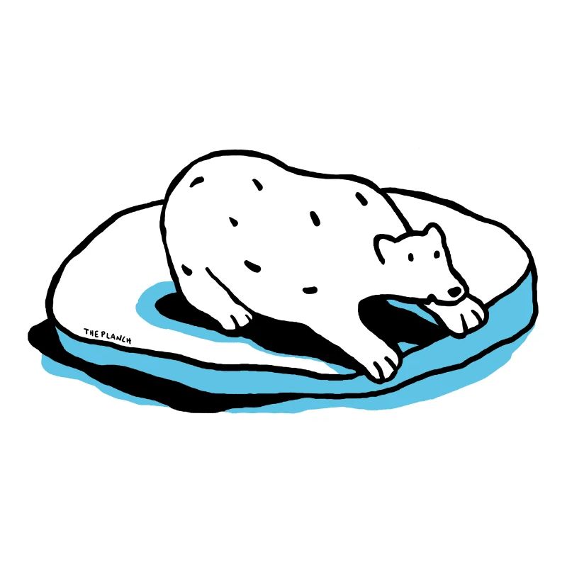 Der Eisbär