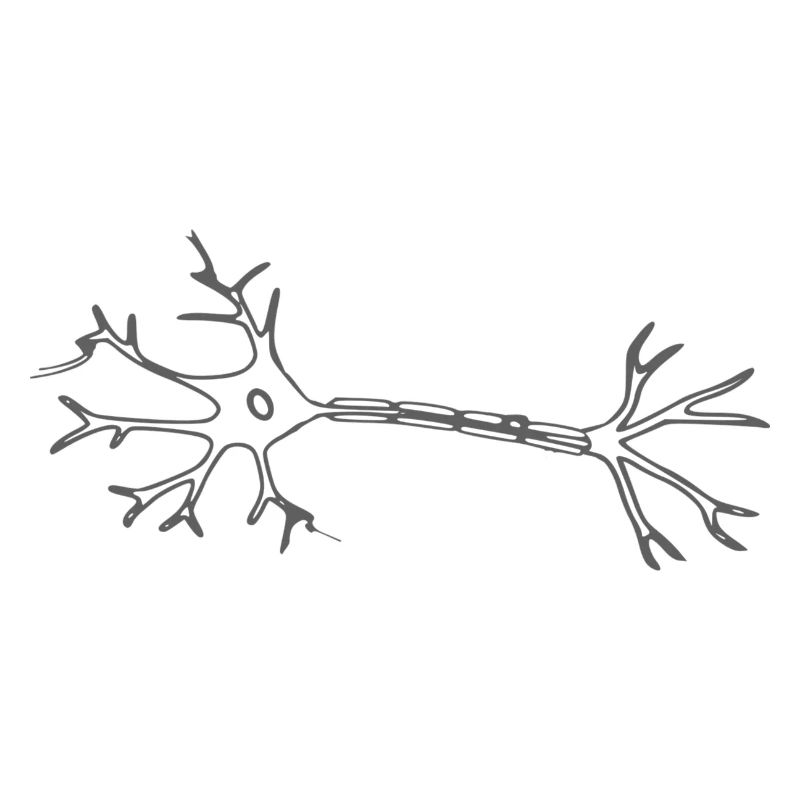 Neuron
