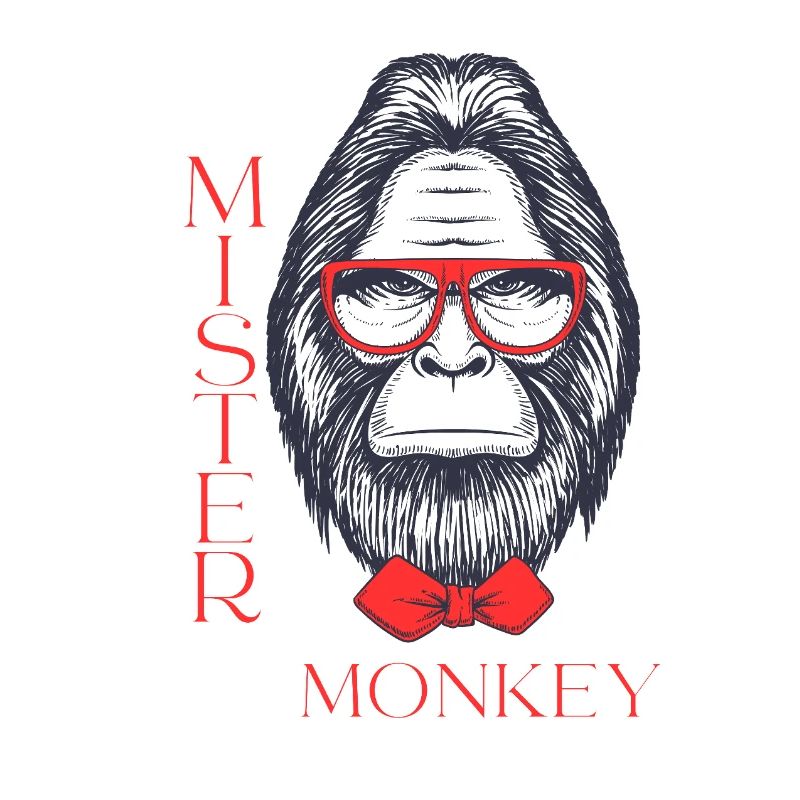 Mister Monkey