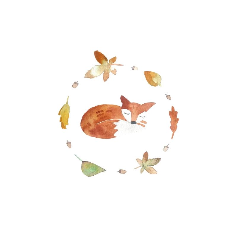 sleeping fox