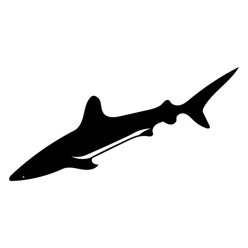 Shark - Vector Design