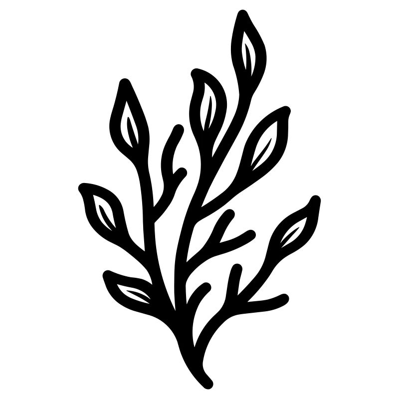 alga