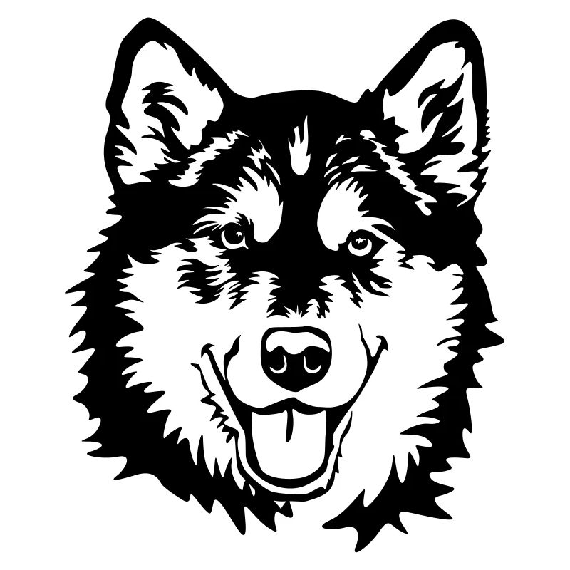 Alaskan Malamute head
